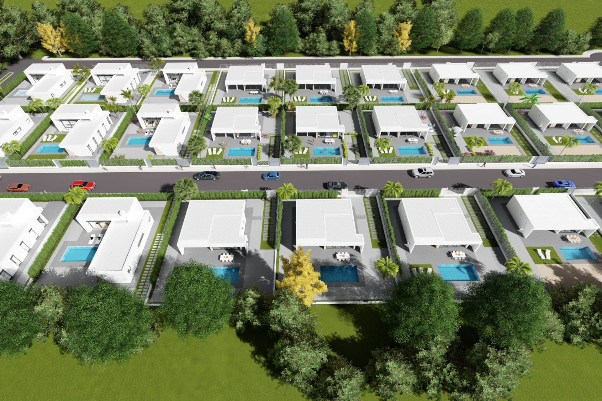 Nouvelle construction - Villas - Calasparra - 30420