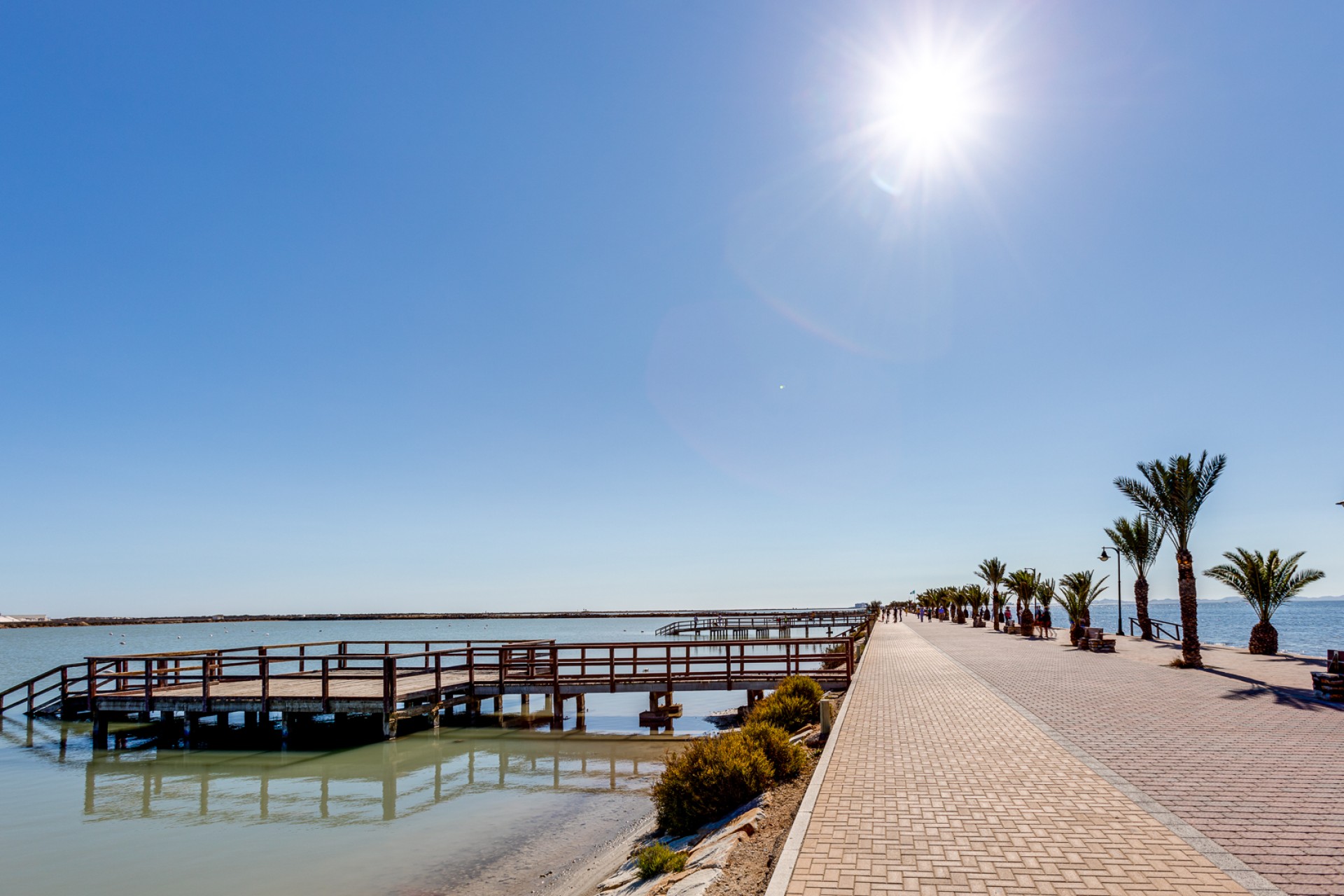 Nouvelle construction - Villas - Pilar de la Horadada - 03190