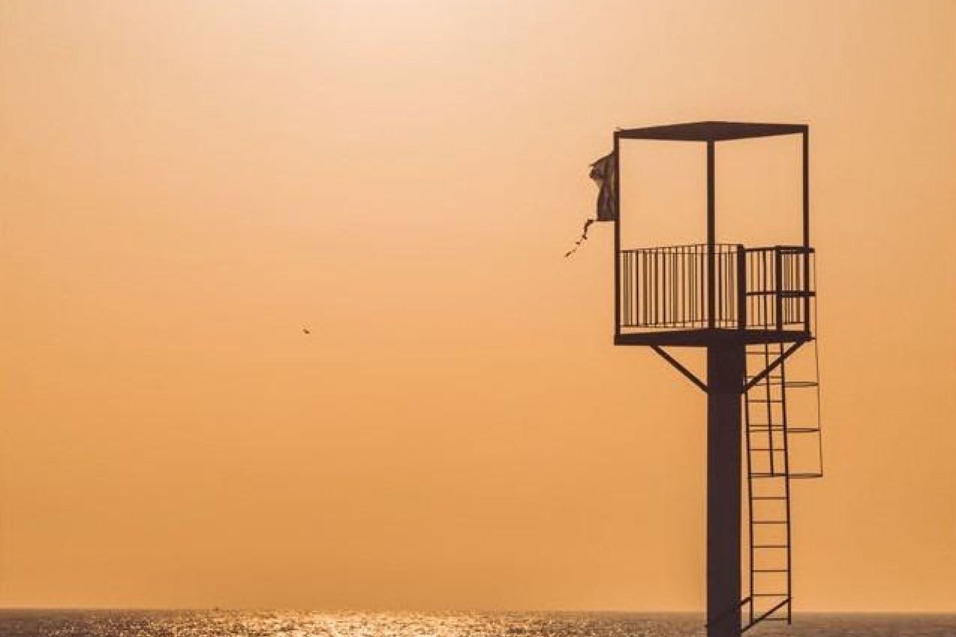 Nowy budynek - Apartment - Almerimar