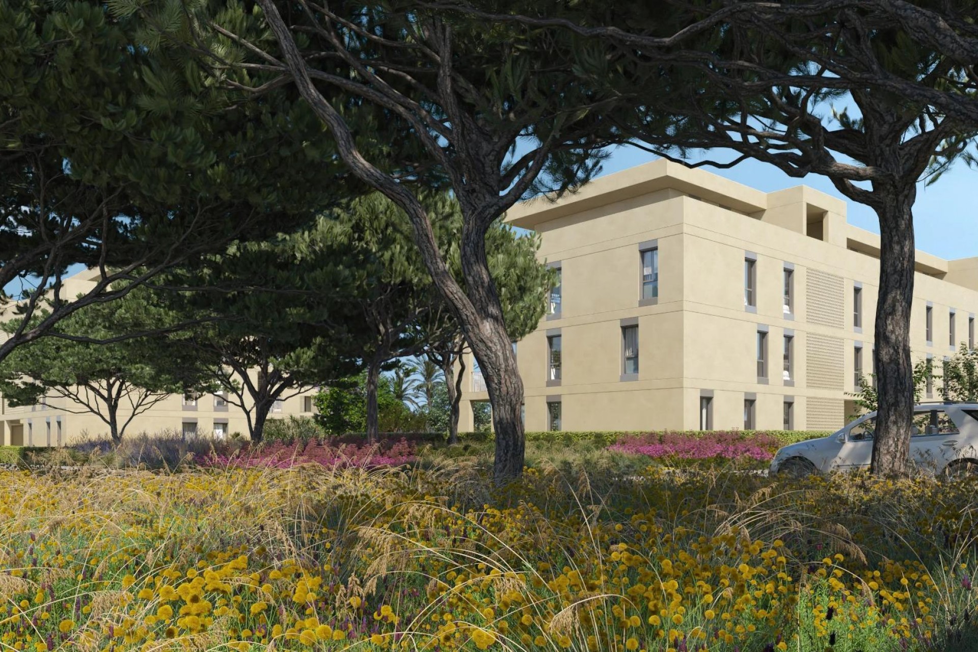 Nowy budynek - Apartment - Denia - Camí de Sant Joan