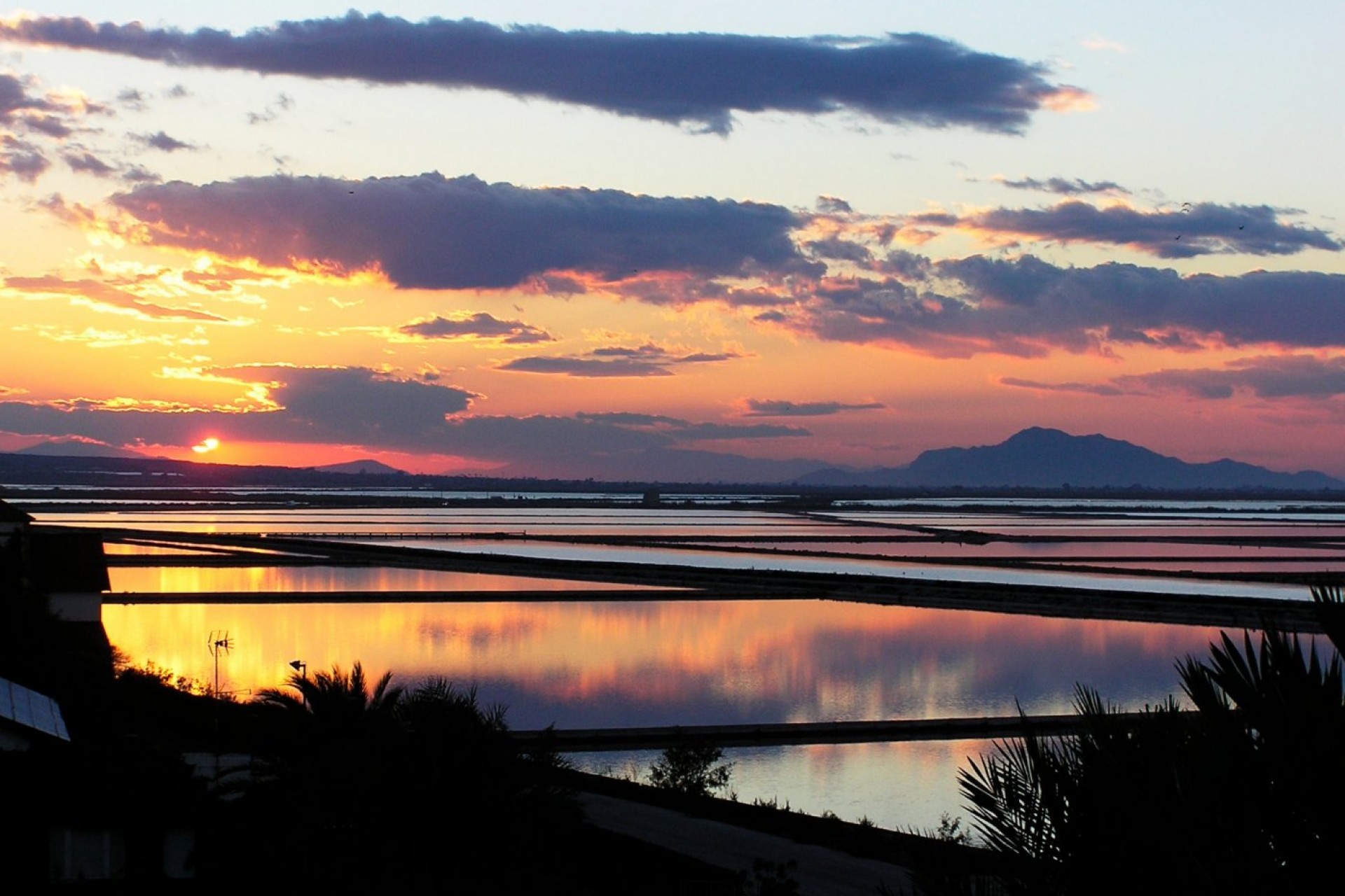 Nowy budynek - Apartment - Gran Alacant