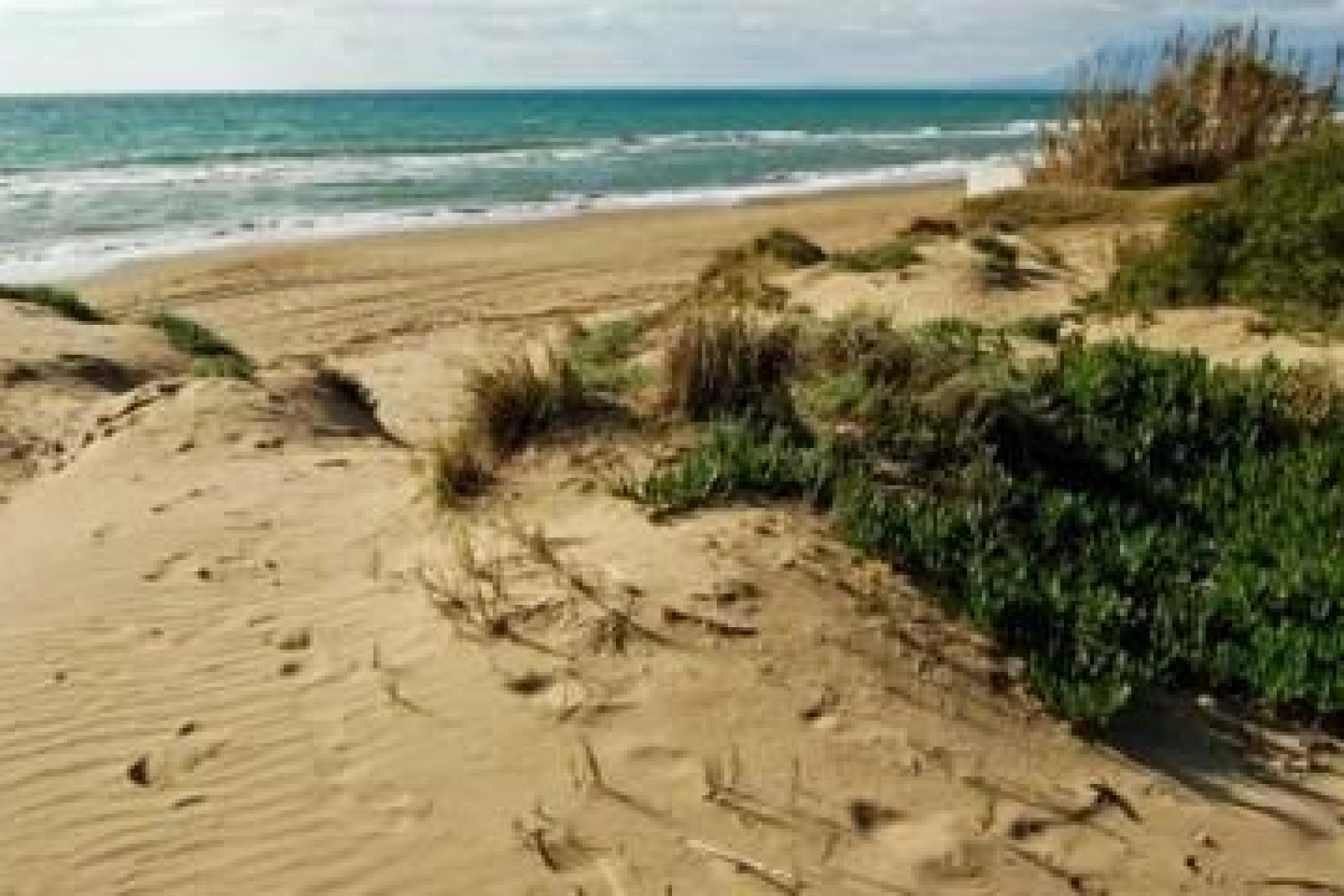 Nowy budynek - Apartment - Marbella - Cabopino