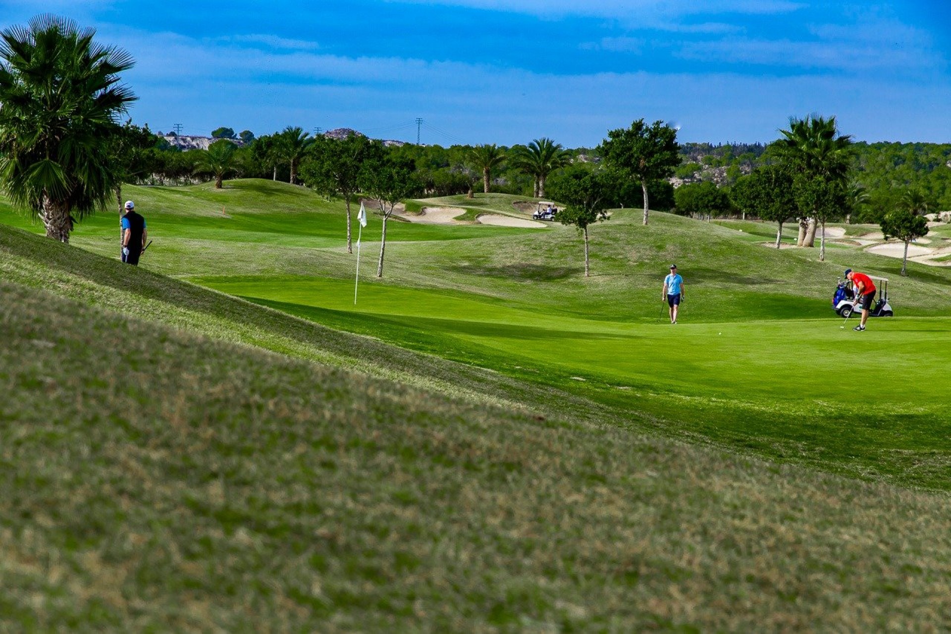 Nowy budynek - Bungalow - Orihuela - Vistabella Golf