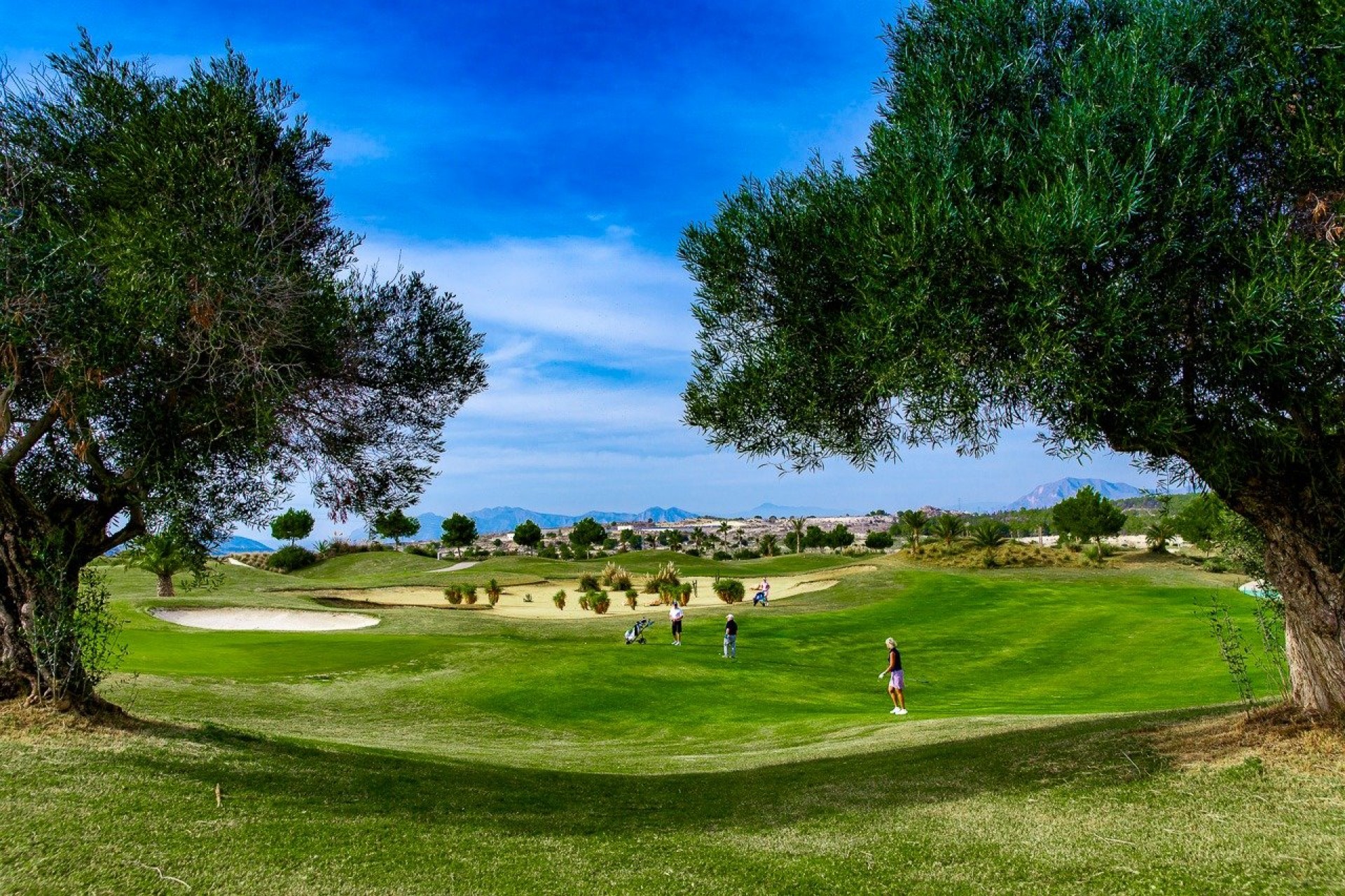 Nowy budynek - Bungalow - Orihuela - Vistabella Golf