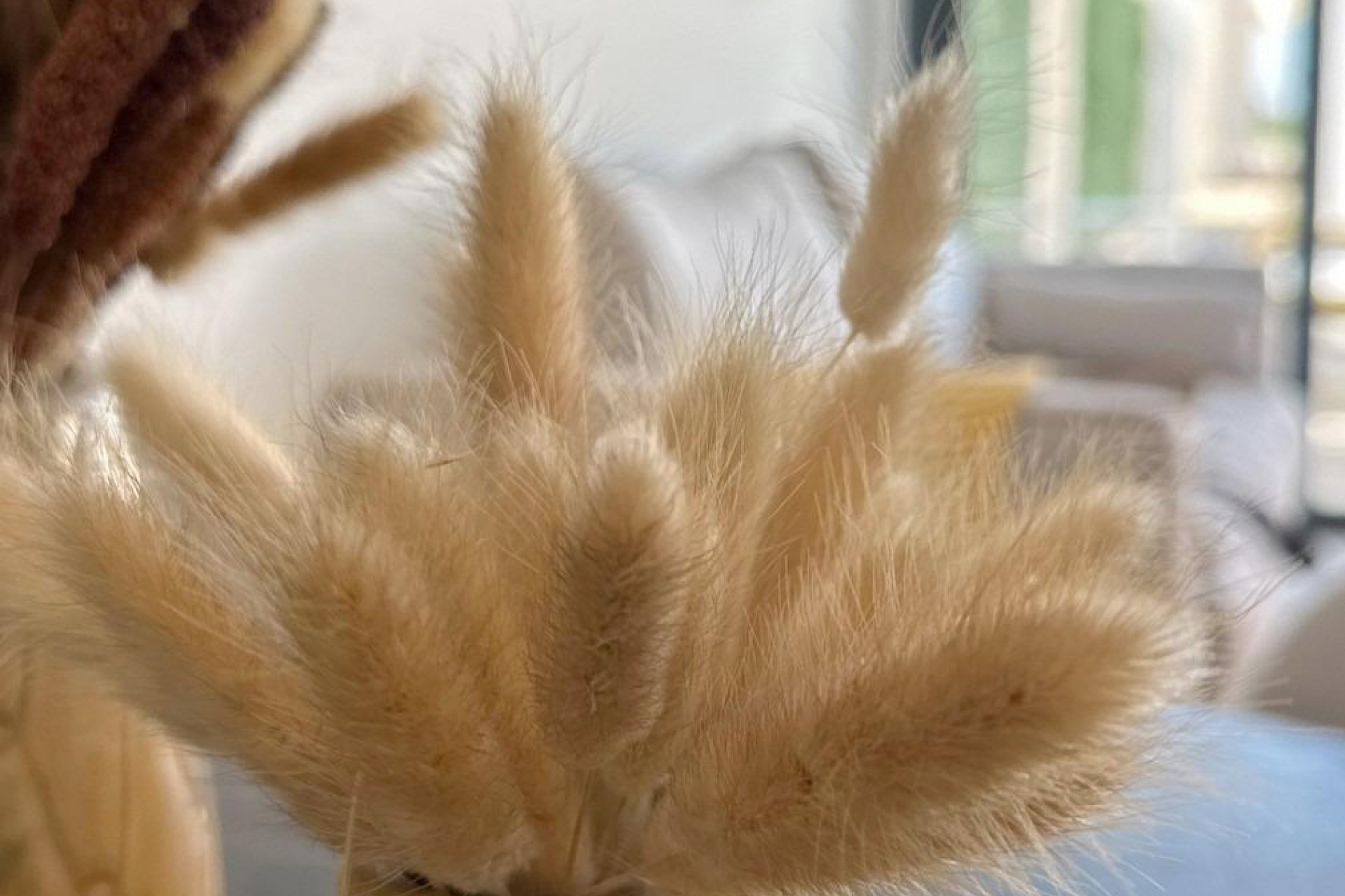 Nowy budynek - Bungalow - San Fulgencio - Pueblo