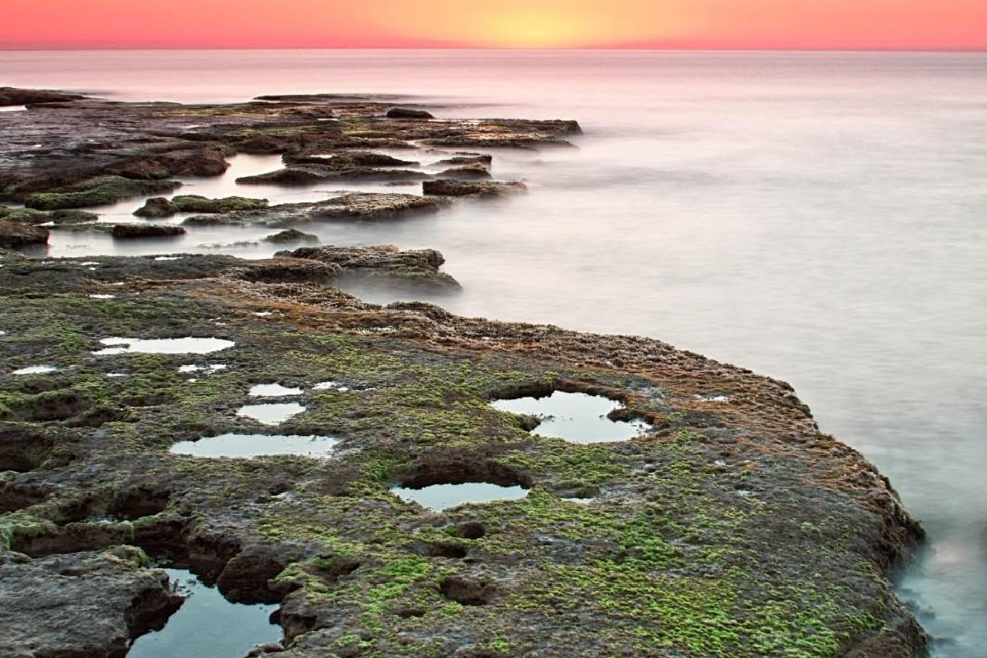 Nowy budynek - Bungalow - Torrevieja - Altos del Sol