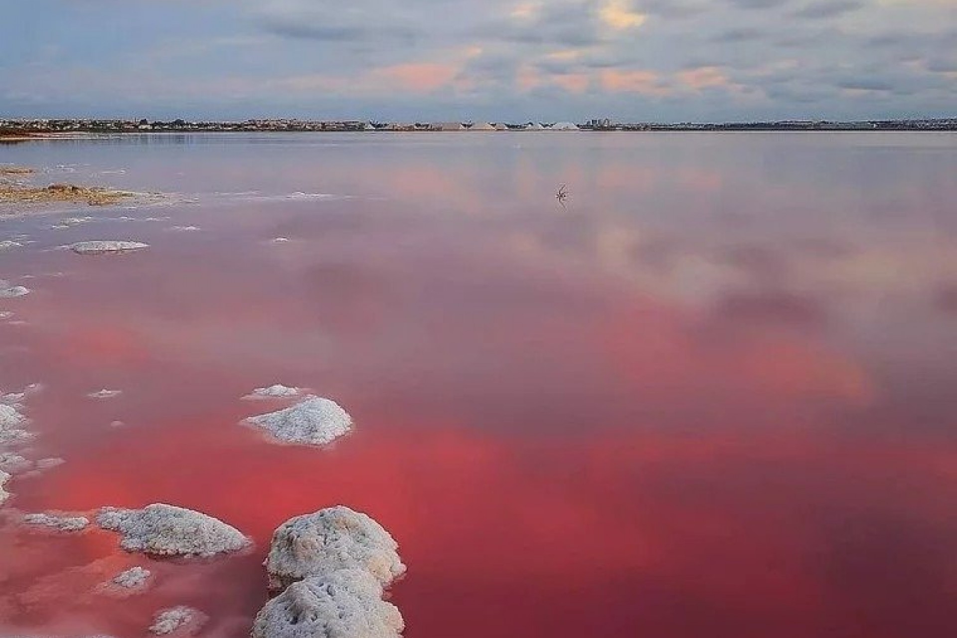 Nowy budynek - Bungalow - Torrevieja - Lago Jardín II