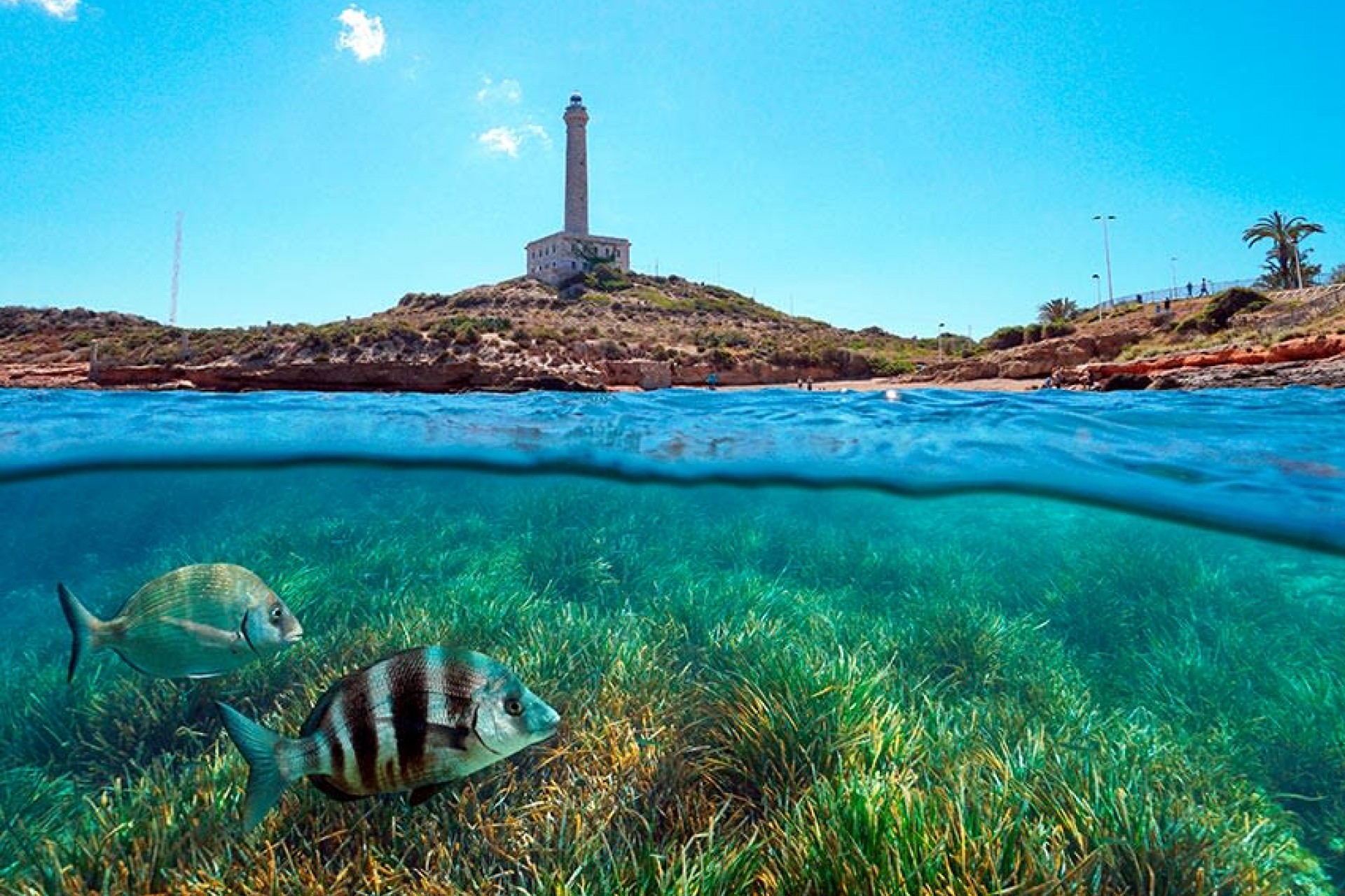 Nowy budynek - Daszek - Islas Menores