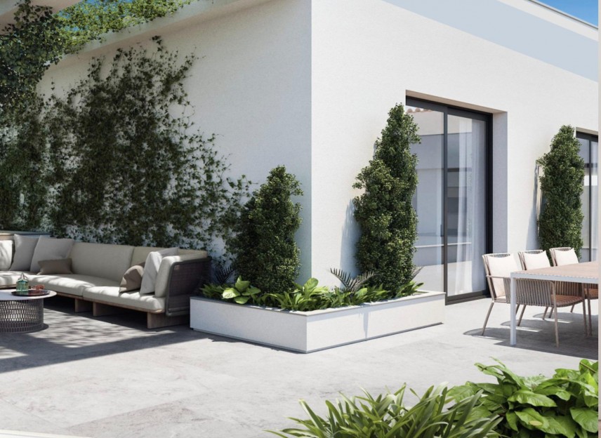 Nowy budynek - Daszek - Torrevieja - Playa de El Cura