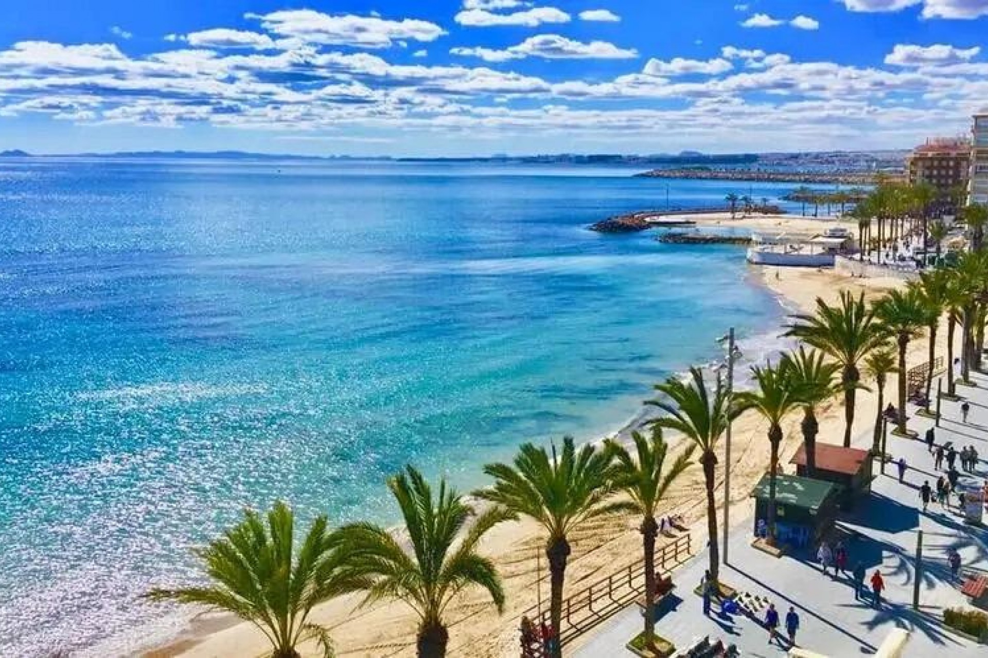 Nowy budynek - Daszek - Torrevieja - Playa de los Locos