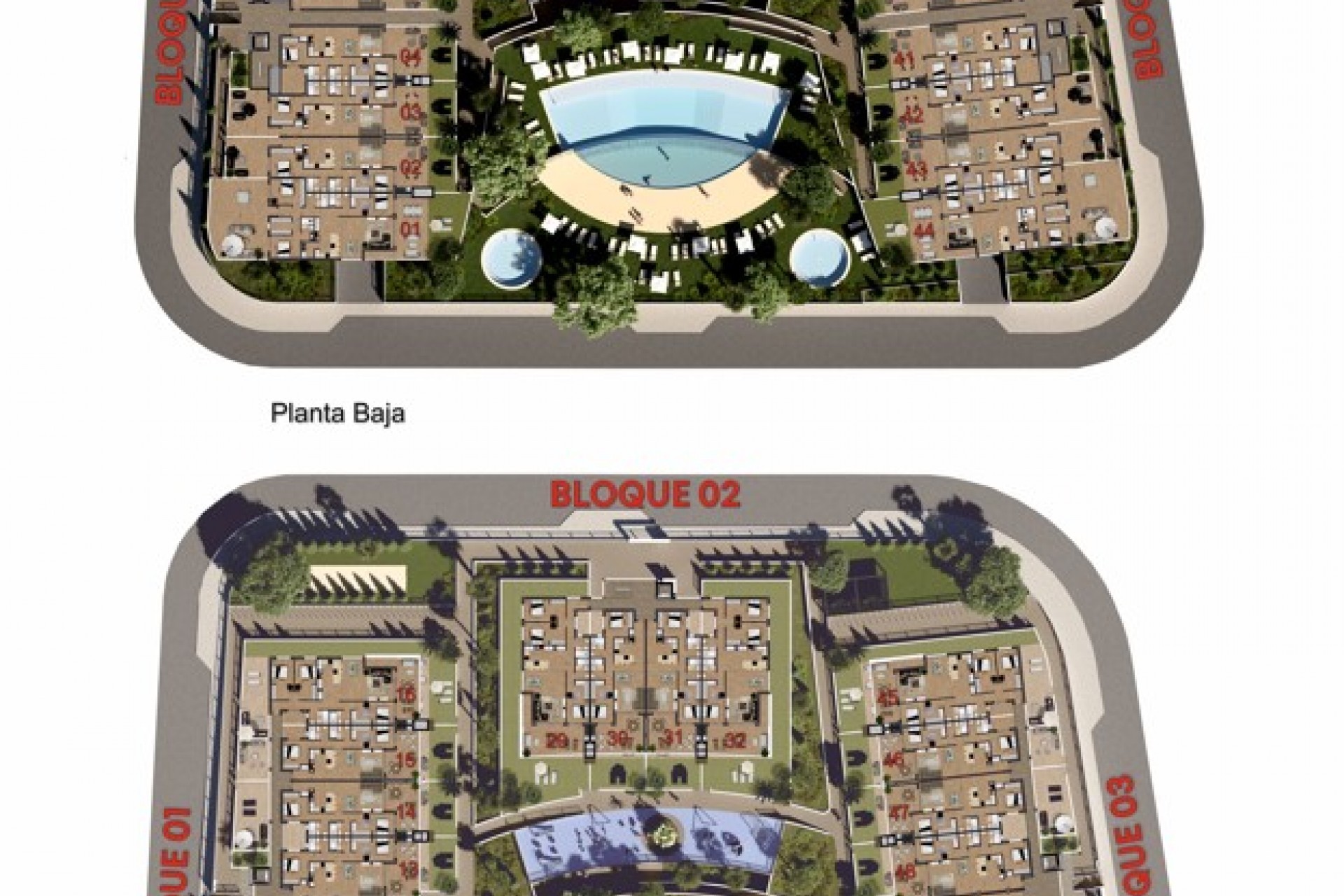 Nowy budynek - Flats - Amoros