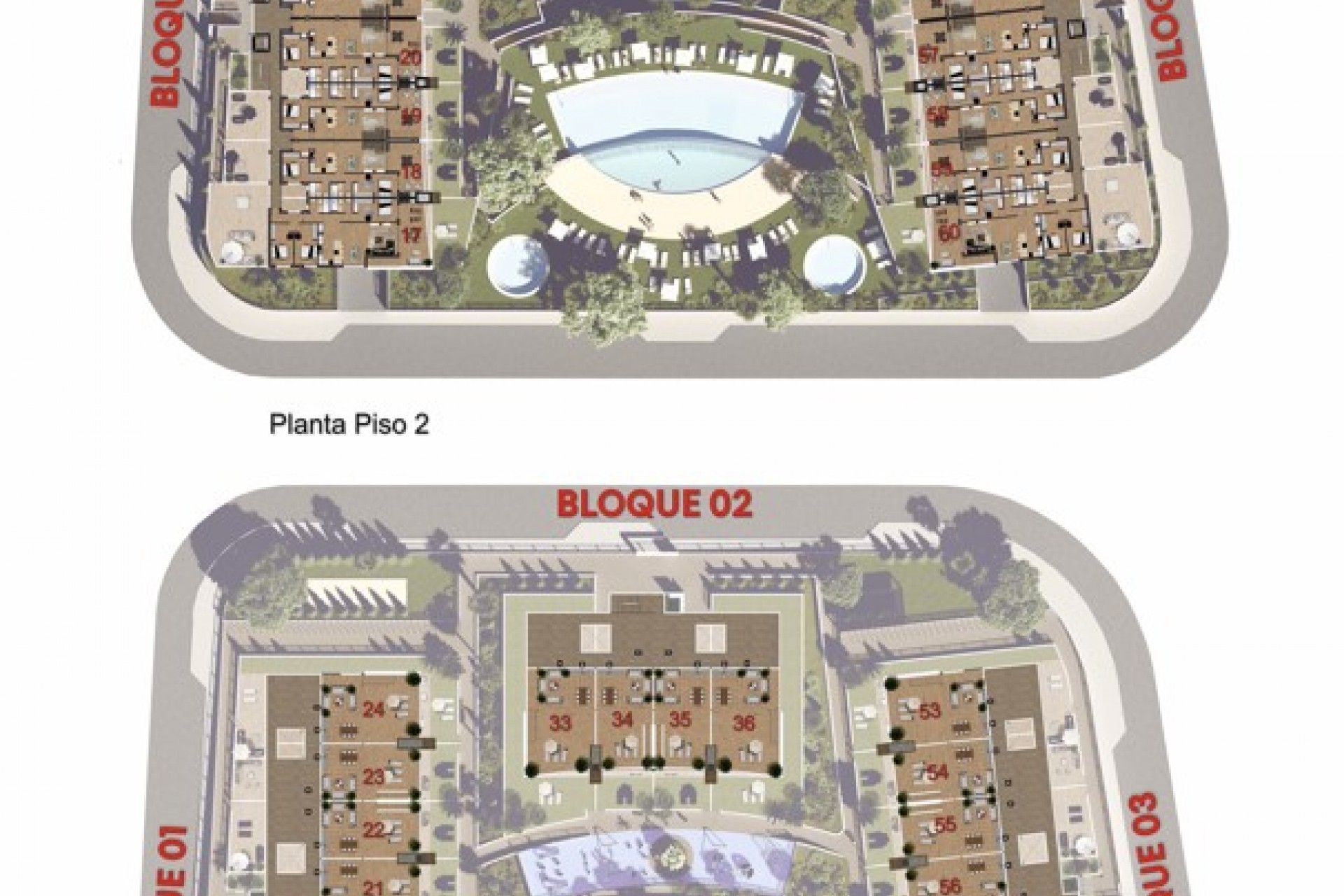 Nowy budynek - Flats - Amoros