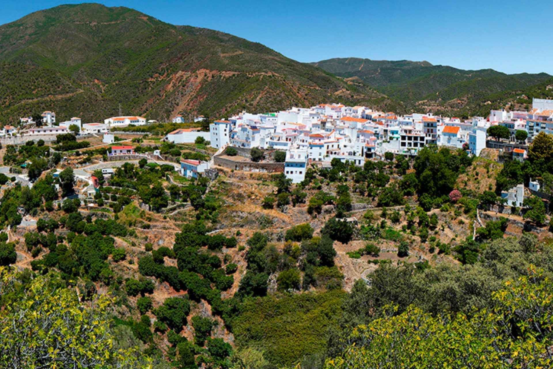 Nowy budynek - Terraced houses - Istanbul - 29611