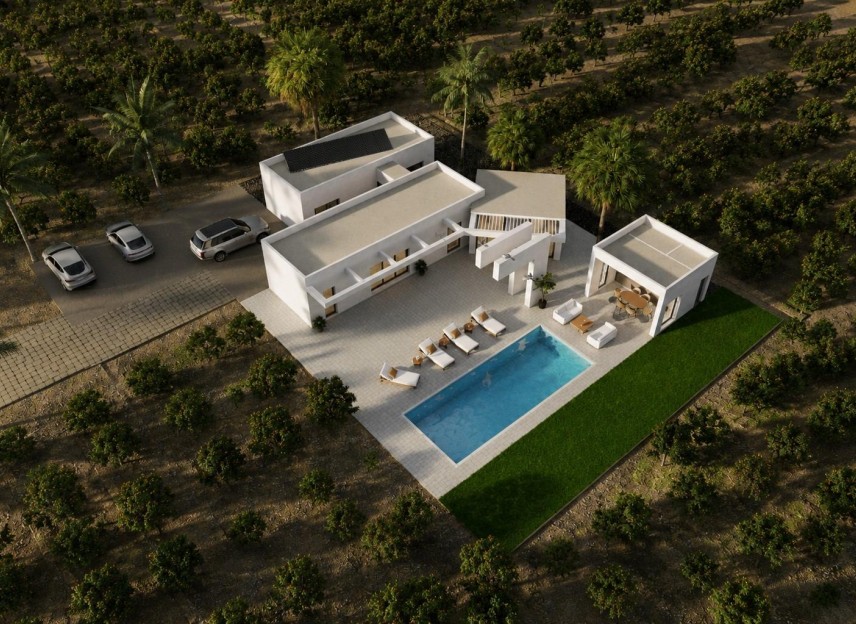 Nowy budynek - Villa - Benejúzar - alta