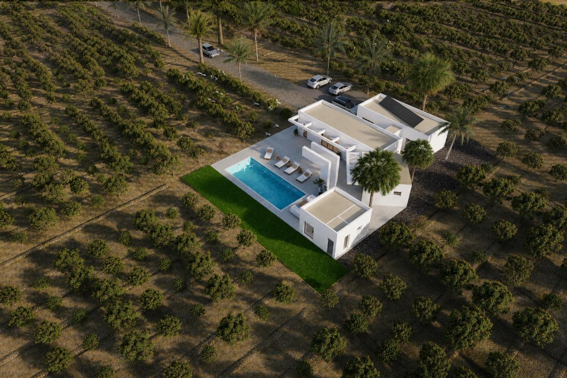 Nowy budynek - Villa - Benejúzar - alta