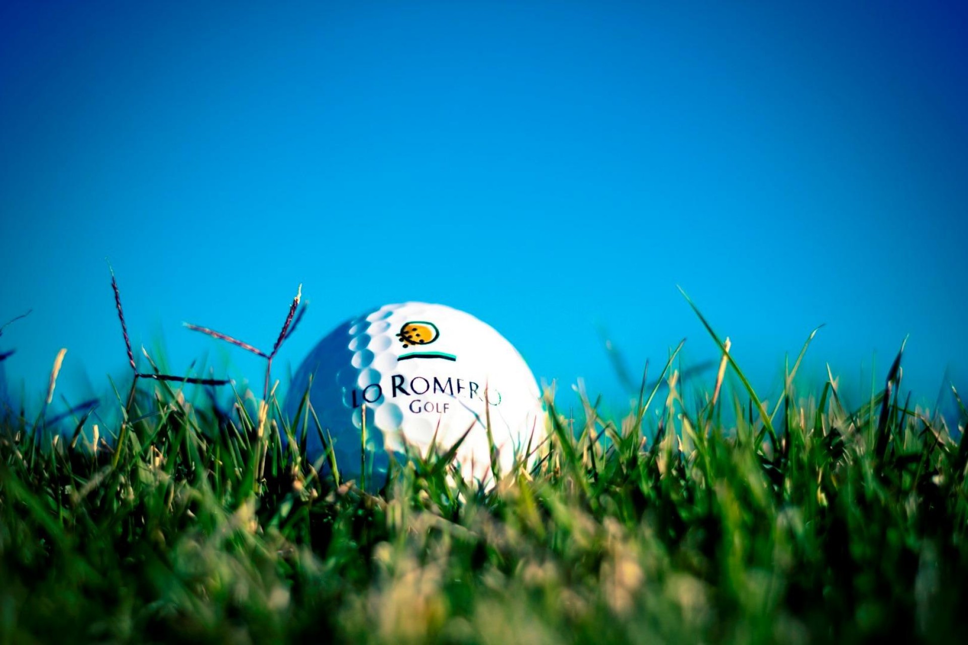 Nowy budynek - Villa - Pilar de la Horadada - Lo Romero Golf