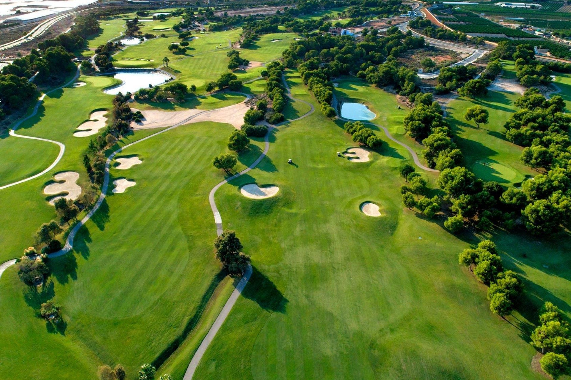 Nowy budynek - Villa - Pilar de la Horadada - Lo Romero Golf