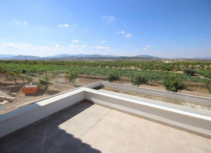 Nowy budynek - Villa - Pinoso - Camino Del Prado