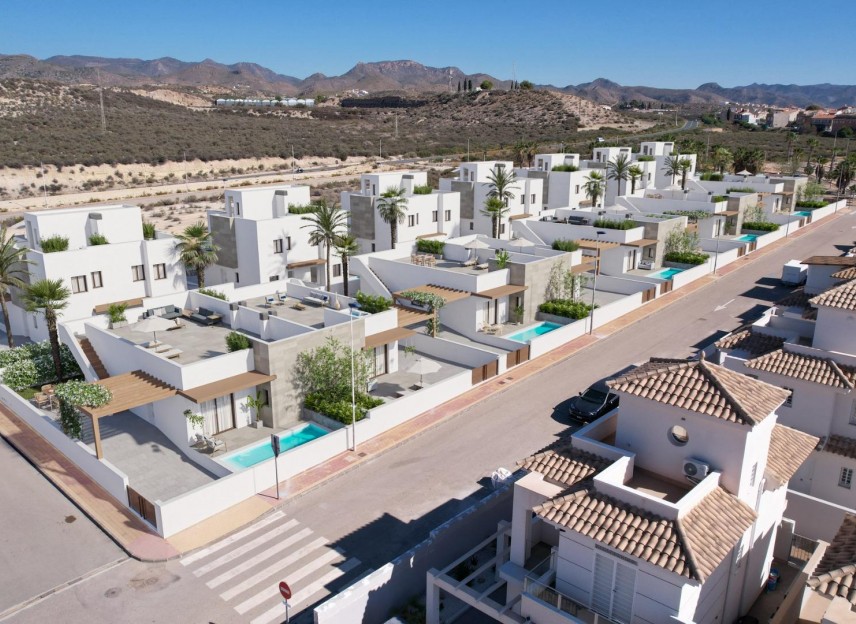 Nowy budynek - Villa - Puerto de Mazarron - Caleñares
