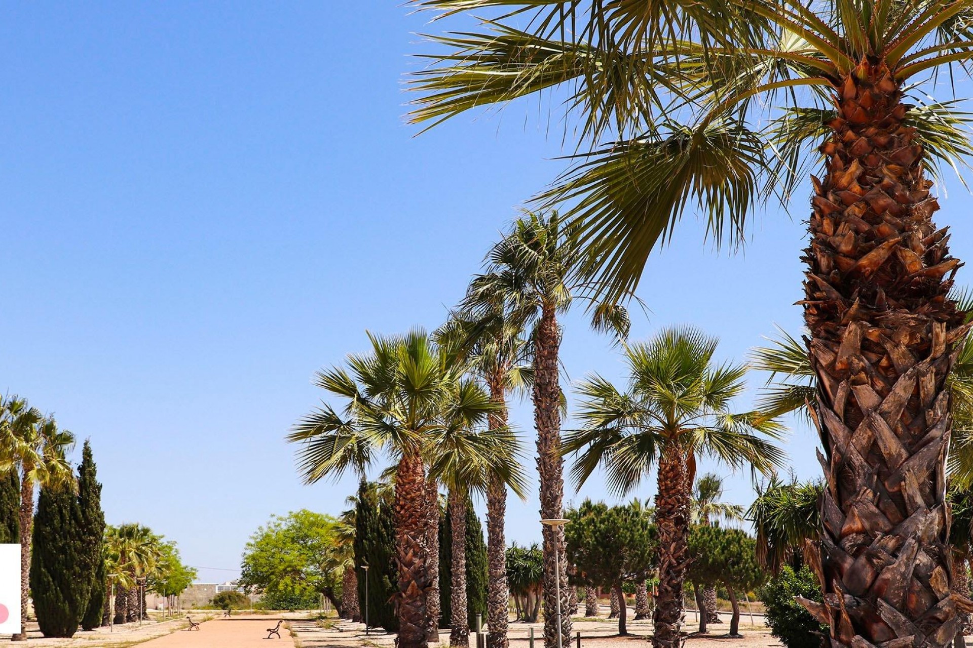 Nowy budynek - Villa - San Fulgencio - La Escuera