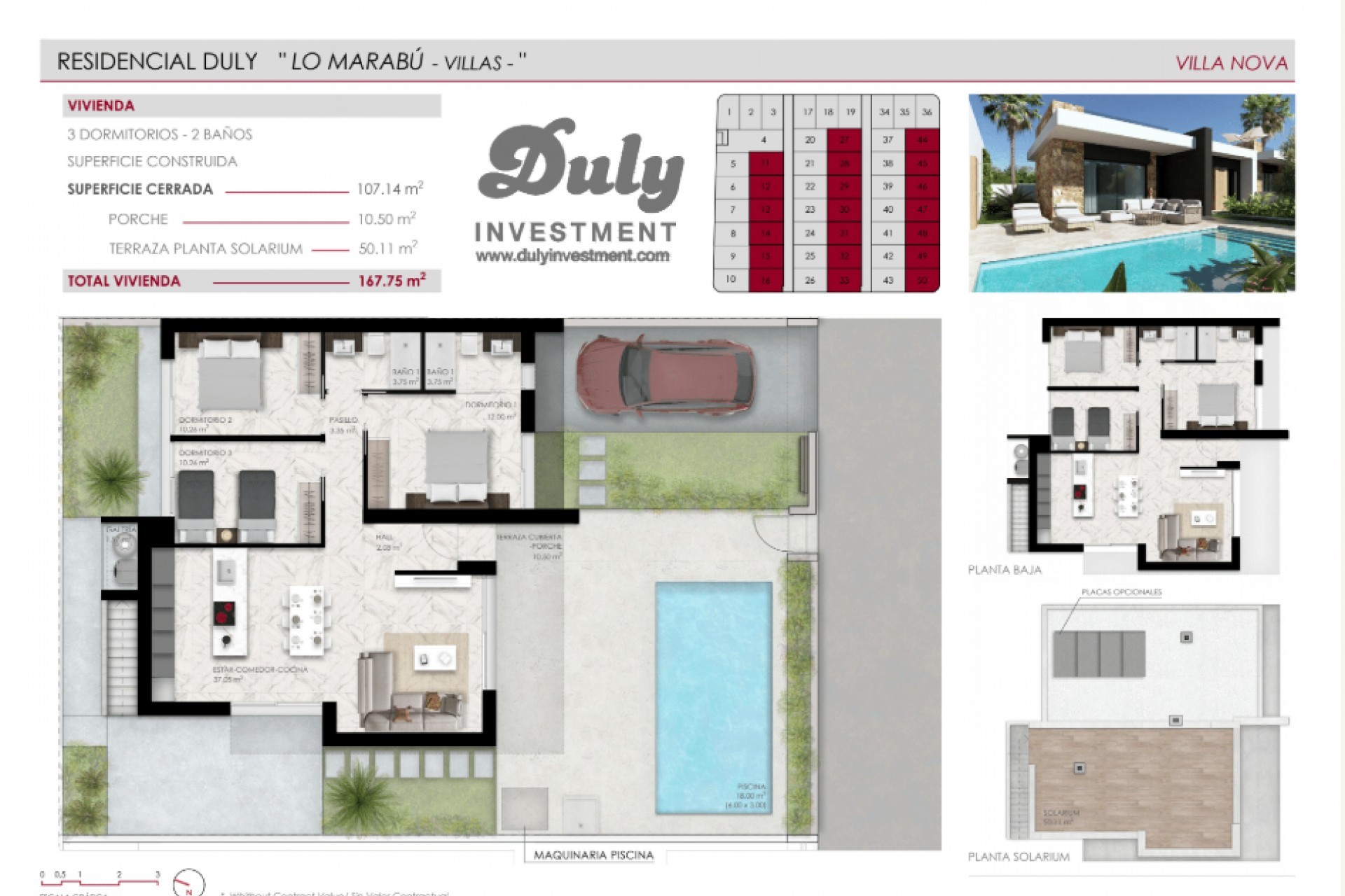 Nowy budynek - Villas - Ciudad Quesada