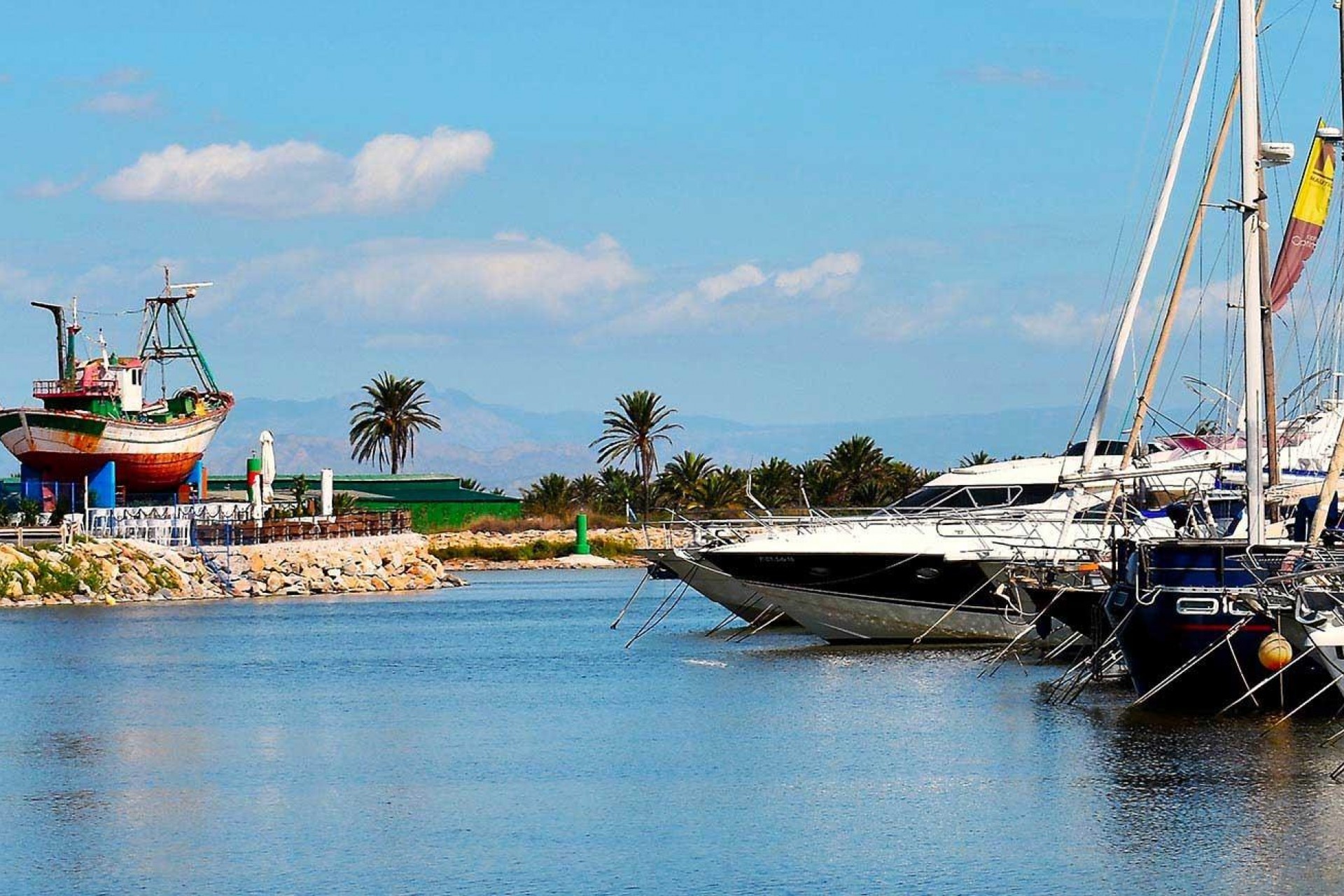 Obra nueva - Apartment - Guardamar del Segura - Avda del Puerto