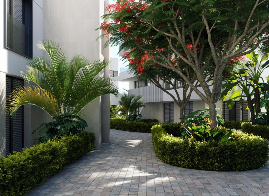 Obra nueva - Apartment - Torre-Pacheco