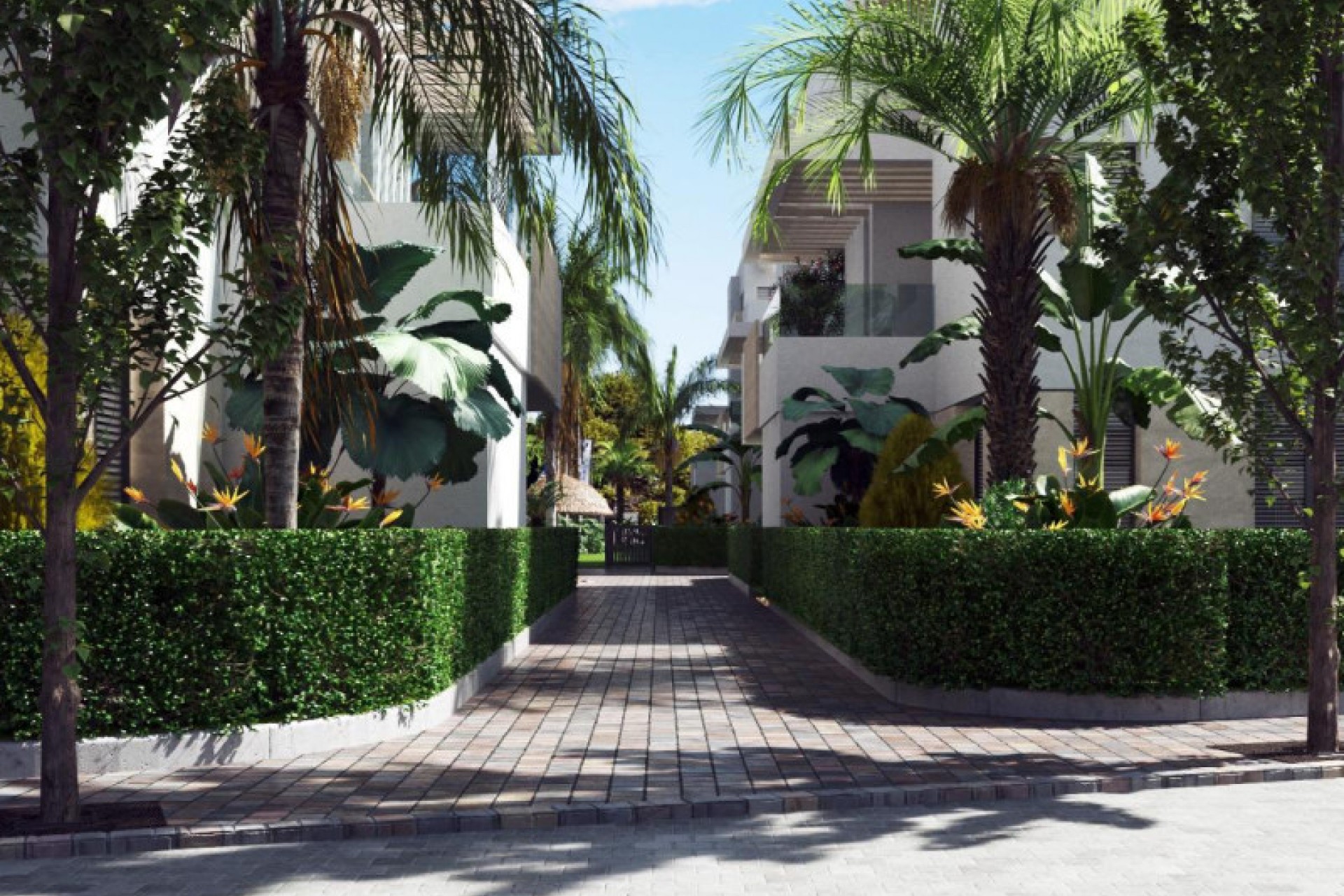 Obra nueva - Apartment - Torre-Pacheco