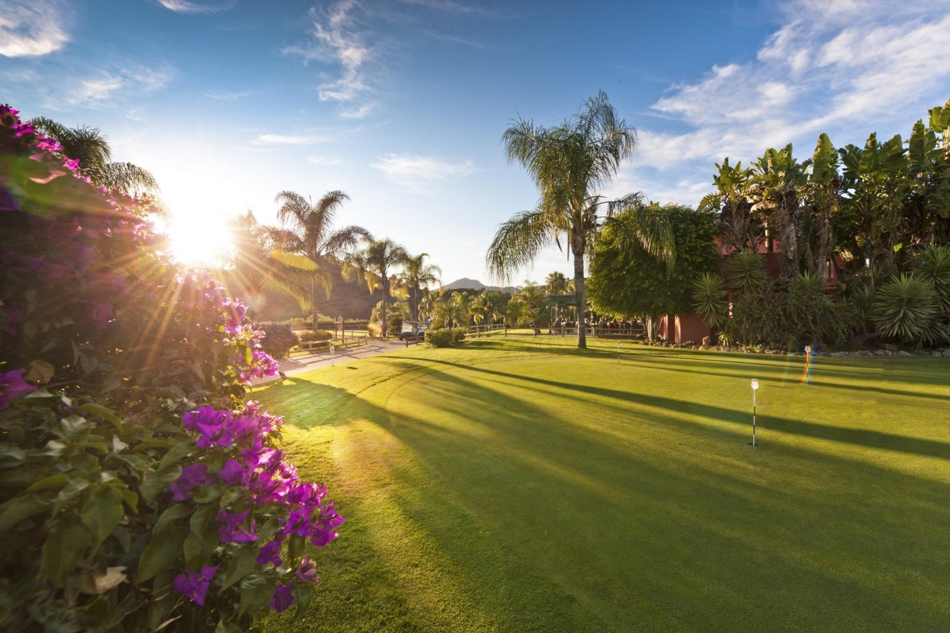 Obra nueva - Ático - Benahavís - Montemayor-marbella Club