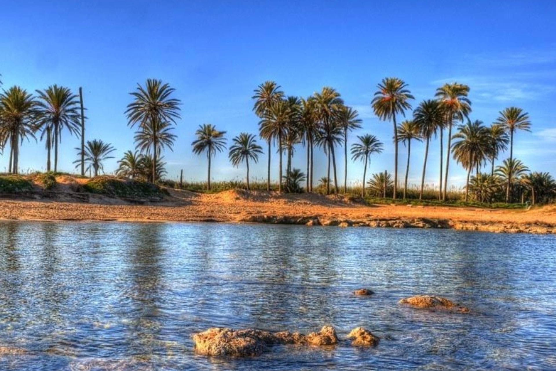 Obra nueva - Ático - Torrevieja - Playa del Cura