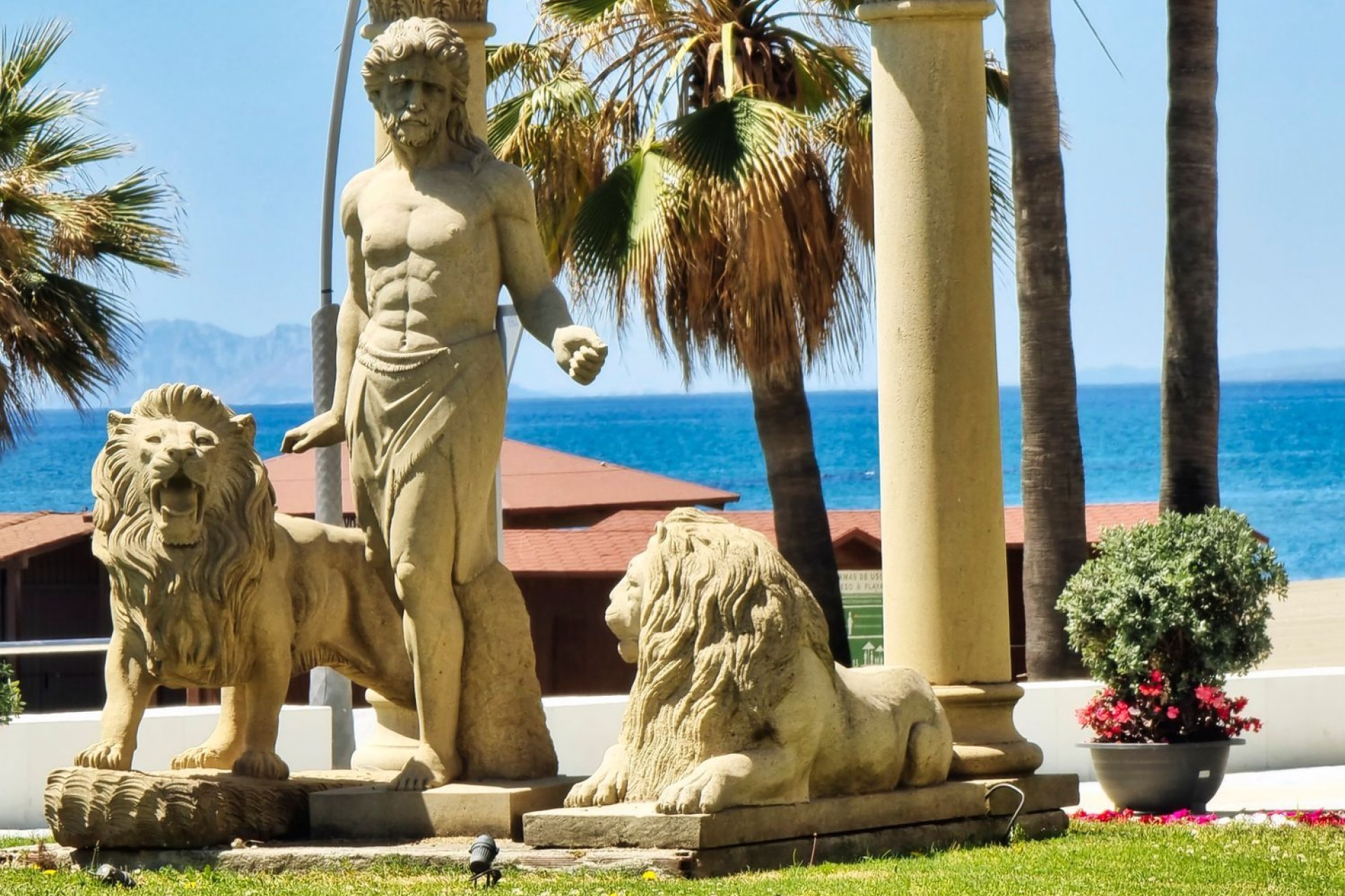 Obra nueva - Commercial premises - Estepona