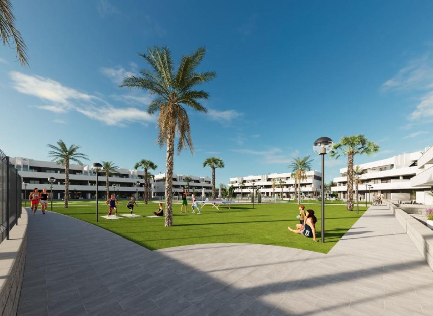 Obra nueva - Flats - Guardamar del Segura - Guardamar Del Segura