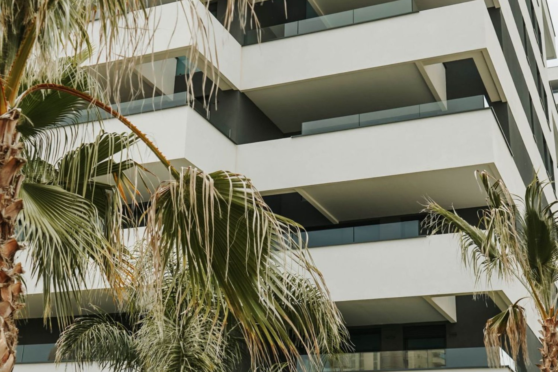 Obra nueva - Penthouses - Calpe