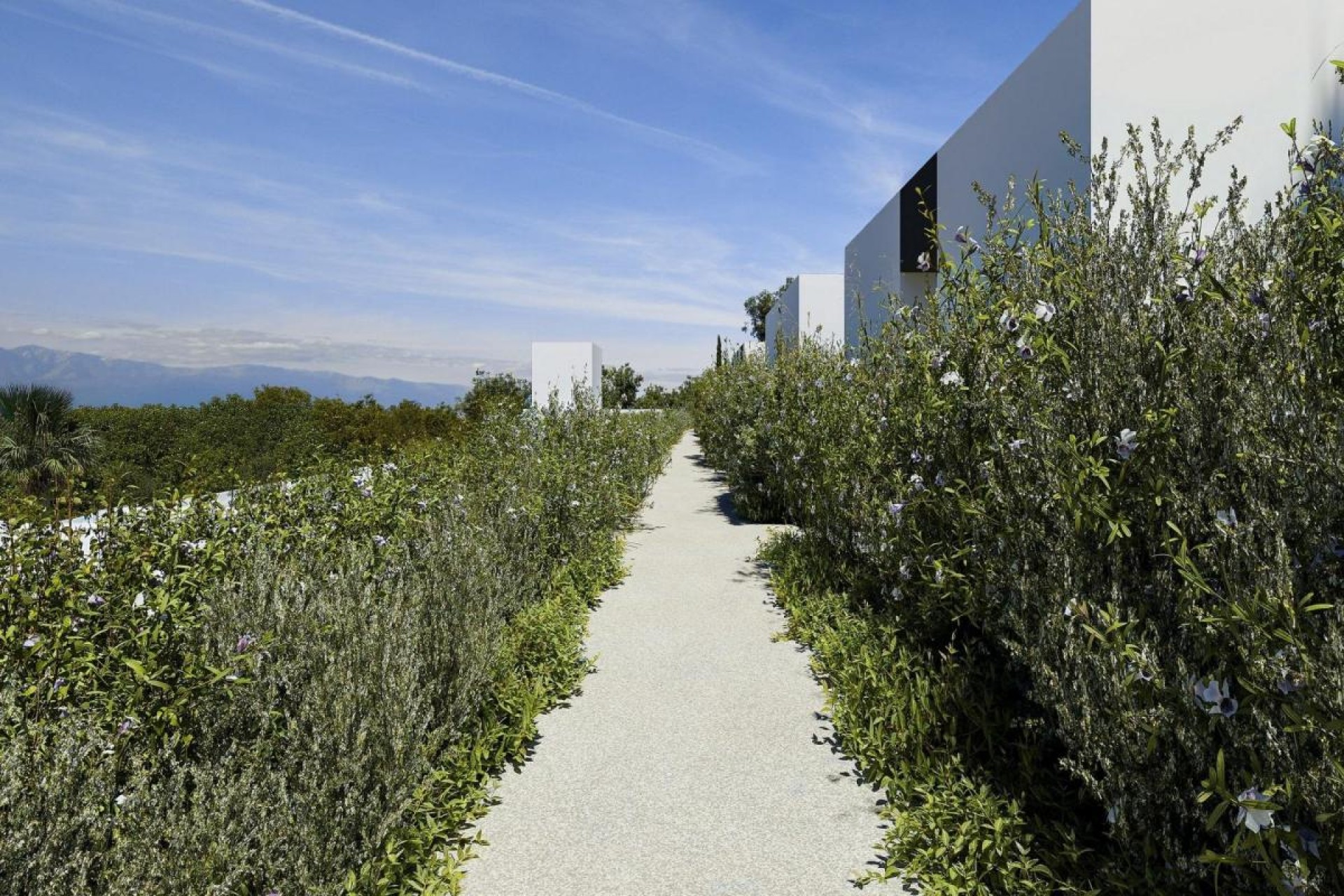 Obra nueva - Villa - Alfaz del Pi