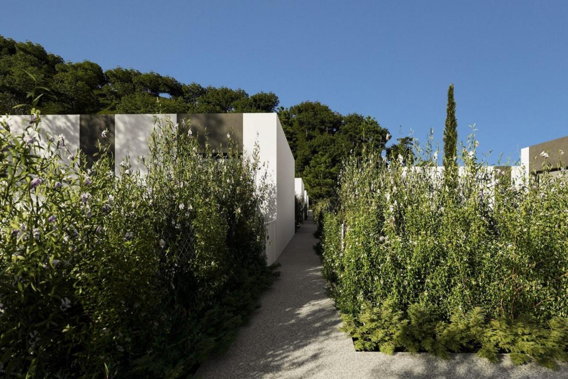 Obra nueva - Villa - Alfaz del Pi