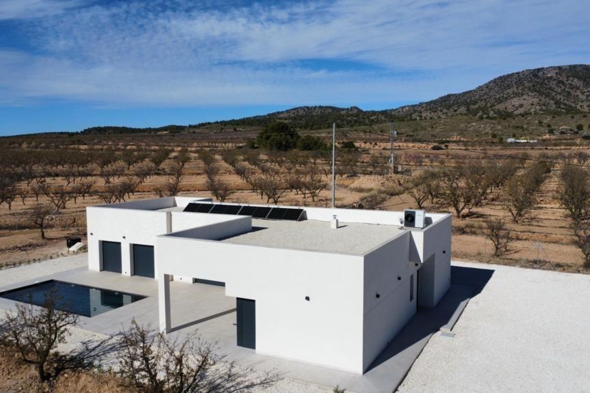 Obra nueva - Villa - Pinoso - Campo