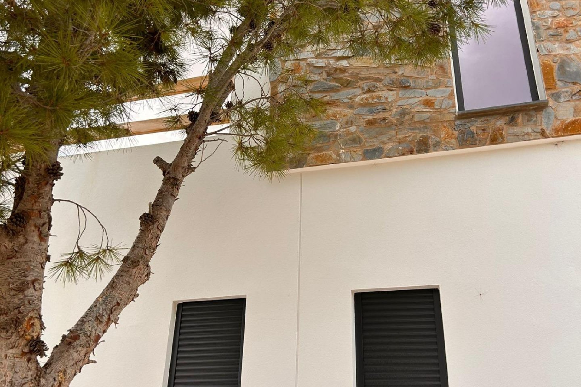 Obra nueva - Villa - Pinoso - Casas Pastor