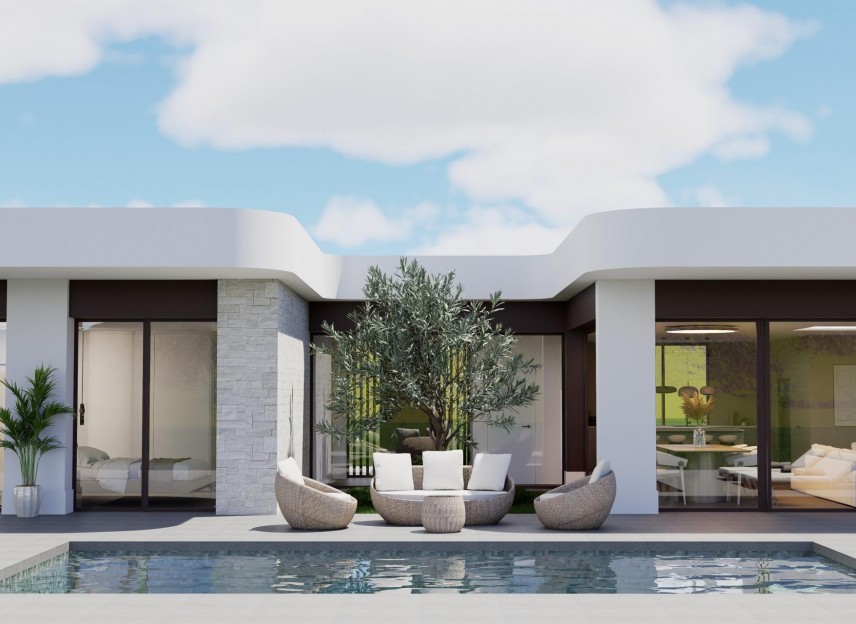 Obra nueva - Villa - Pinoso - Lel