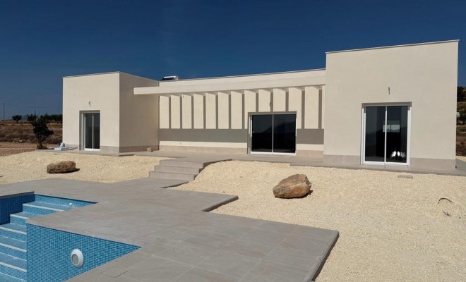 Villa - Nowy budynek - Pinoso - Camino Del Prado