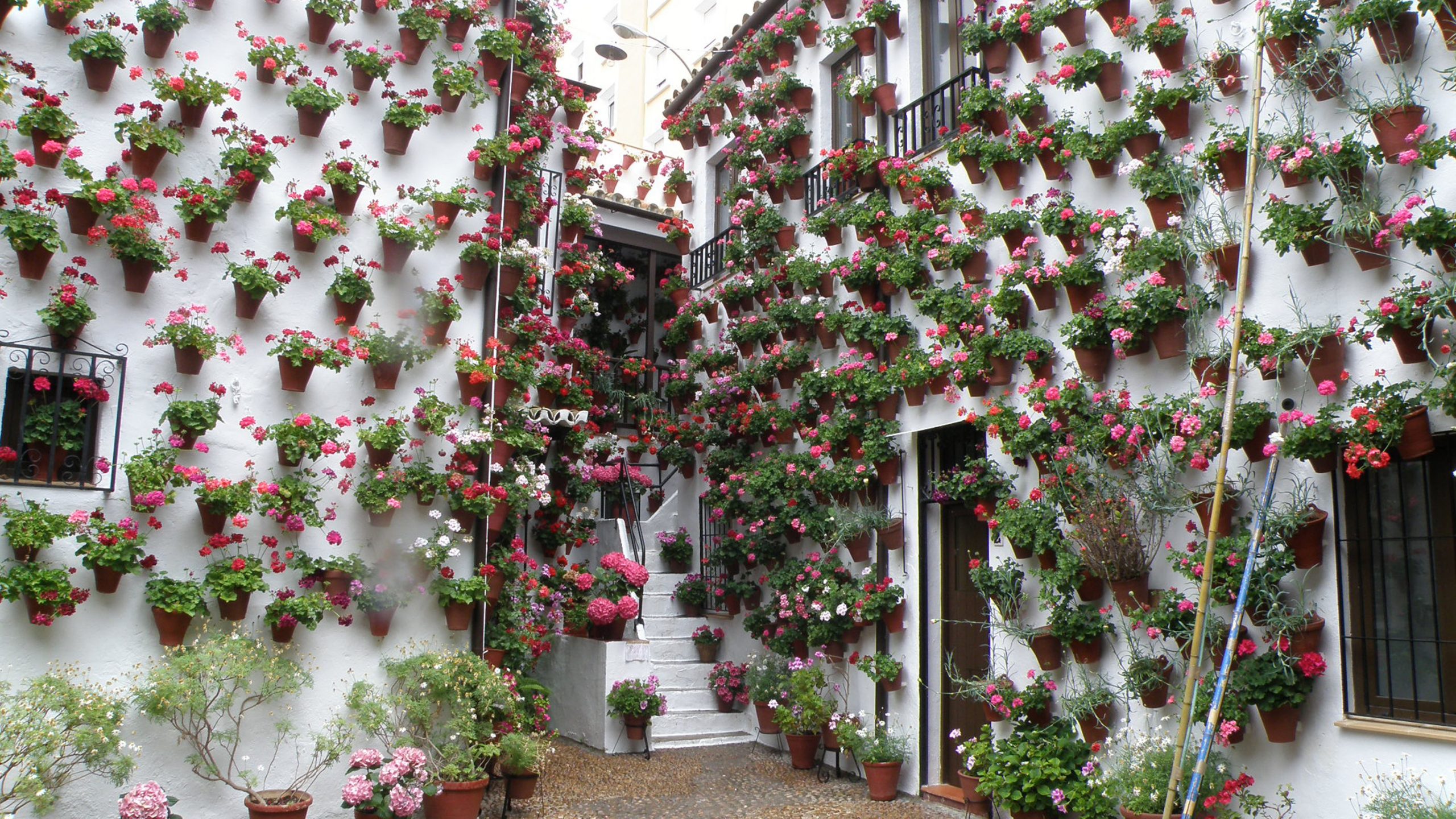 Patios decorados durante la primavera en España