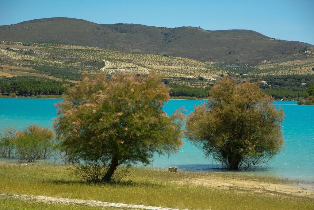 El lago azul de los Bermejales visto entre los árboles.
