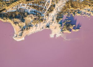 roze zoutmeer Torrevieja